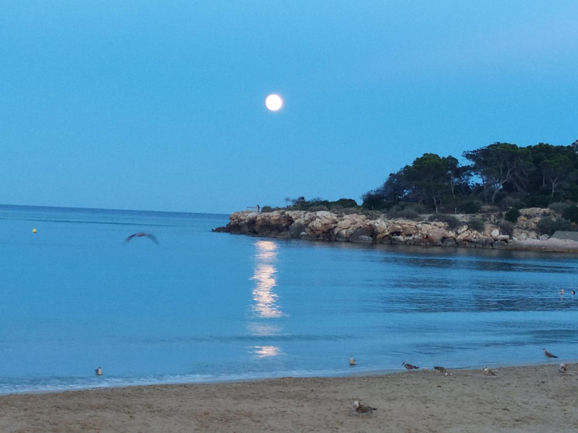 Estudio Reformado Cerca De La Playa Ac Wi-fi Neftlix Acepta Mascotas Ferienhaus Calp